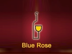 �Ϻ��{õ���M�����Q(m��o)�����޹�˾