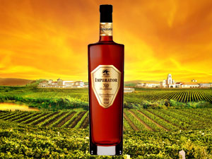 �V�|ʡ����������Q�����޹�˾