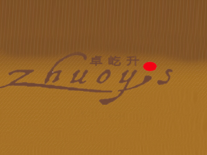 ����׿�������Q���޹�˾