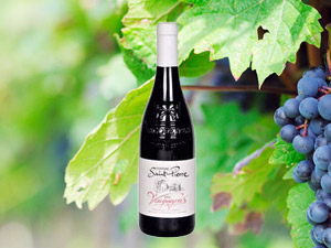 �B�T�г���Q�����޹�˾