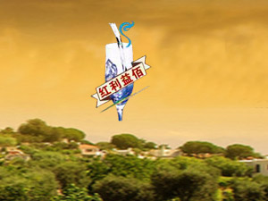 ���ݼt��������Q���޹�˾