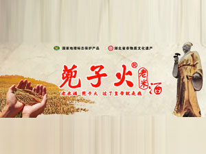 ������P�ƘI���޹�˾