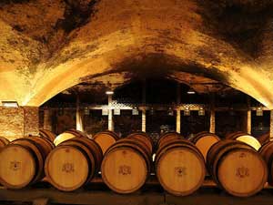 �Ϻ������ƘI���޹�˾