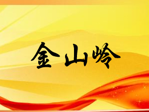 �е½�ɽ�Xᄾ����޹�˾