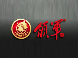 �F��ʡ�ʑ���é�_�(zh��n)�I(l��ng)܊�ƘI(y��)���޹�˾