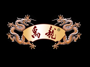 �F�ݽ�ɳ�����ƘI(y��)������޹�˾