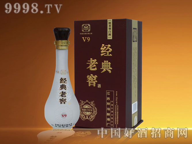 �����Ͻ�-V9