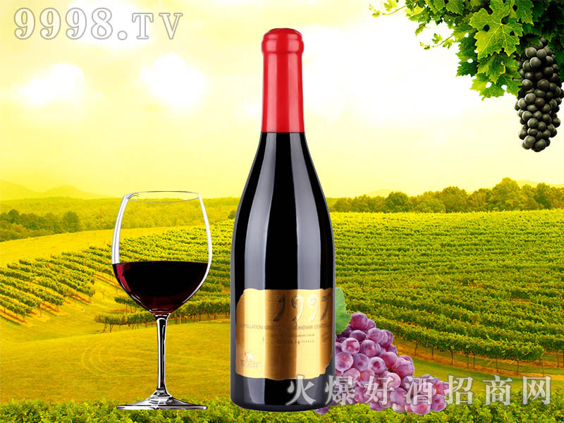 ����ܽ1997�ɼt���Ѿ�