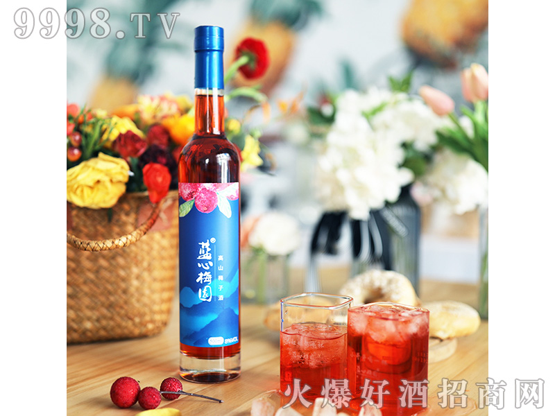 �{��÷�@��ɽ÷�ӾƼs���b8��500ml