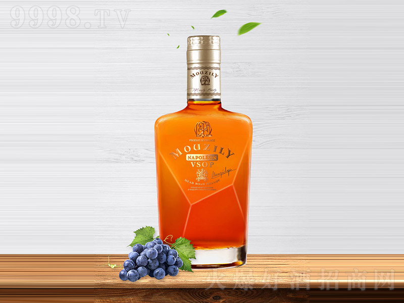 �����Ɓ��I��V.S.O.P���m�ء�40�� 1L��