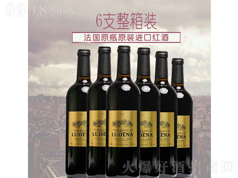 ���������Ǳ��t���Ѿơ�13�� 750ml��
