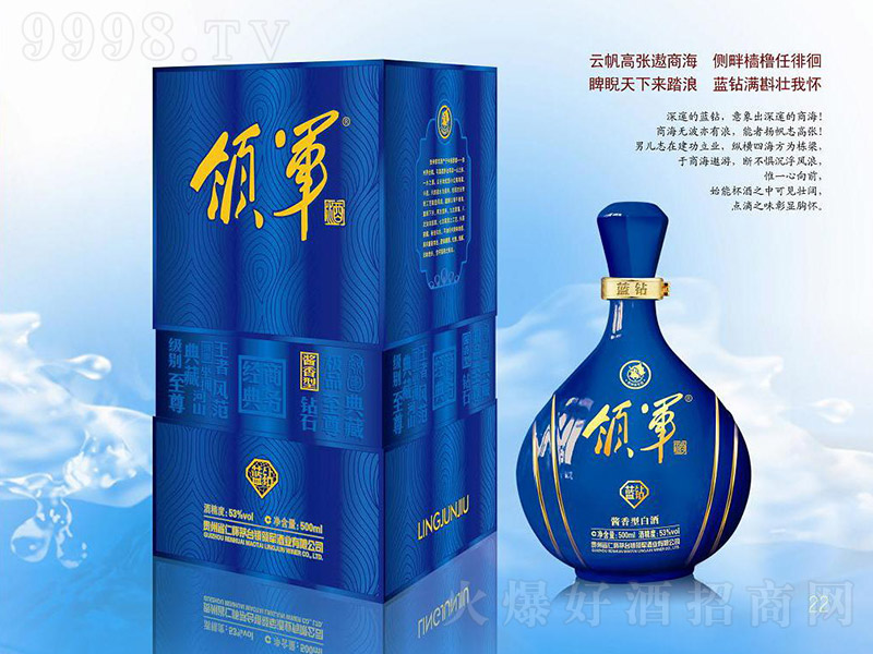 �I܊���{�@ �u���͡�53�� 500ml��