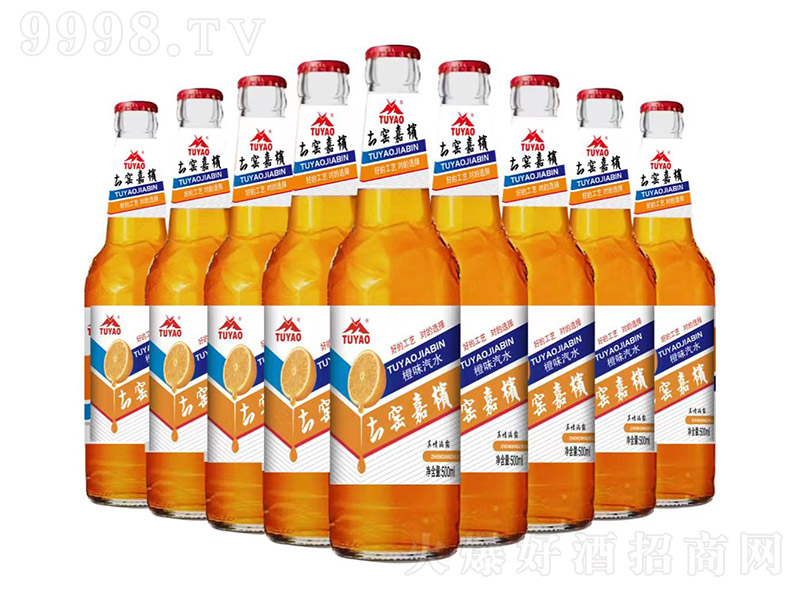 ���G�Ι���ˮ����ζ��-��ơ��500ml��9ƿ��