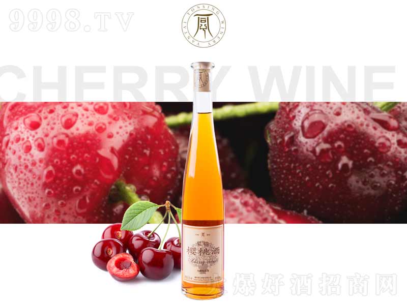 �������ž��x�����Ҿơ�10��500ml��