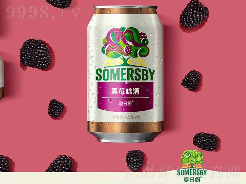 ���ռ�Somersby����ζ��ζ�ƺ�ݮζ��4.5��330ml��-ơ��������Ϣ