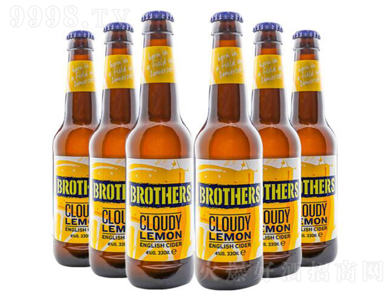 �ֵܡ�����ζ���ƾơ�4�� 330ml��