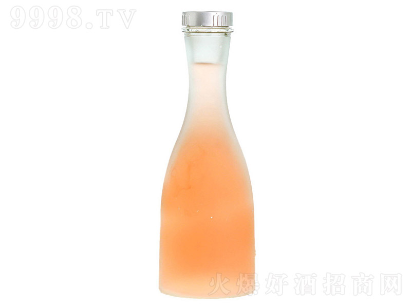 ����ƿϵ��GJ-058