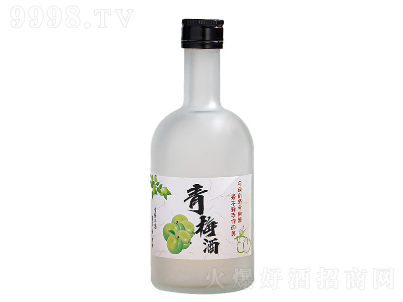 ����ƿϵ��GJ-055