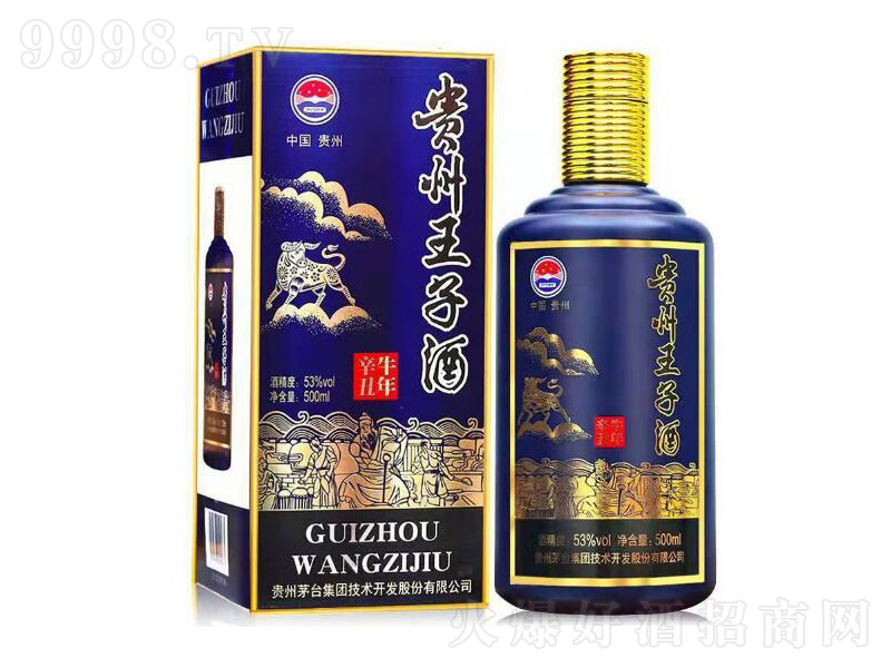 �F�����ӾƼZʳ���u���;ơ�53��500ml��