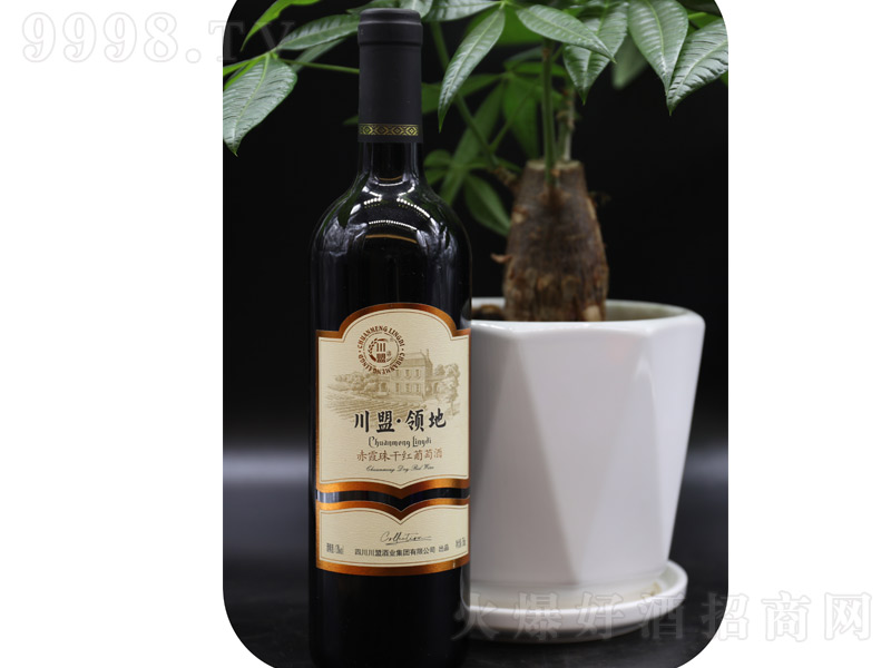 �����I�س�ϼ��ɼt���Ѿƣ��͹Řˣ���13��750ml��-�t�����Ϣ