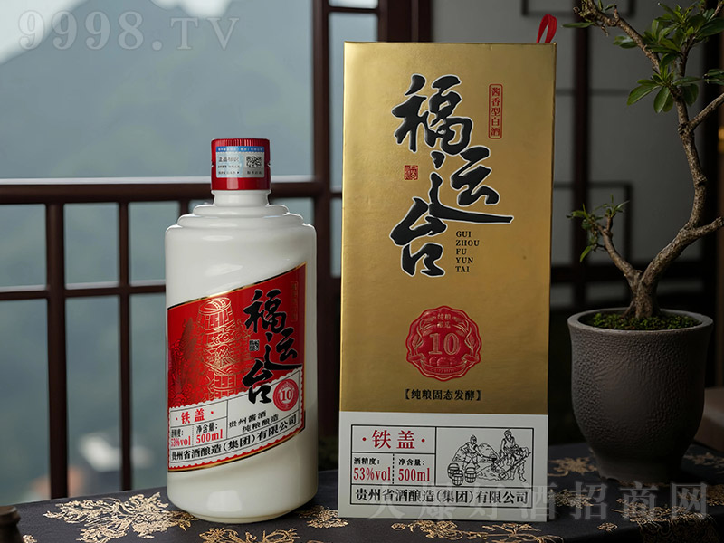 ���\(y��n)�_���F�w10 �u���͡�53�� 500ml��