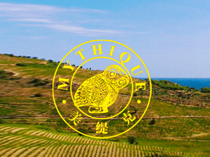 �Ϻ����m�M�������޹�˾