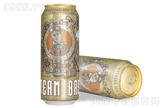16.8���˹͡ķIPA���ơ��500ml�r���������X��