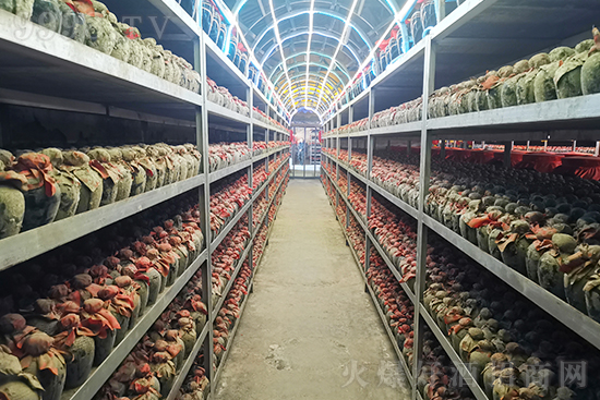 ���ն�����ƘI