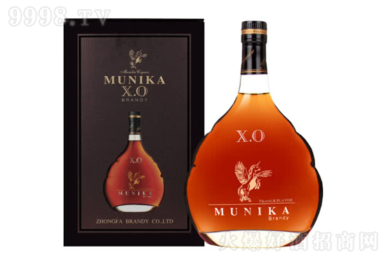 40�㿨����XO��ư��m��1000ml�r(ji��)�񣬶����X��