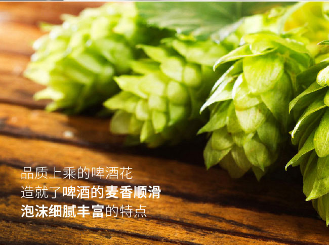 �ĵ���ơ������ơ��500ml