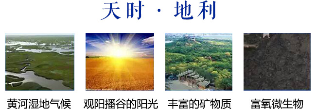 ��ꖌ�����Ѳ�38��500ml�����Ͱ׾�