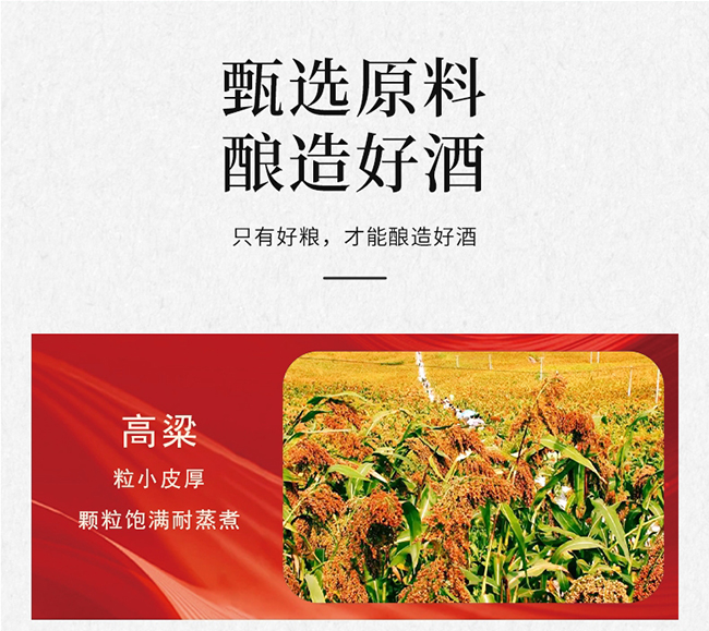 �o�ݸ��ơ�����ϲ �����͡�52�� 500ml��